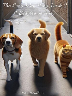 cover image of The Long Way Home Book 2
